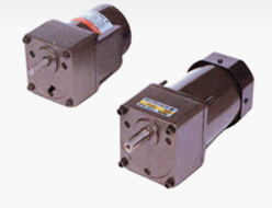 AC STANDARD GEAR MOTOR