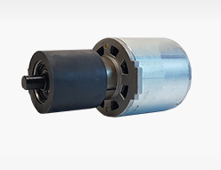 DC INTERNAL GEAR MOTOR